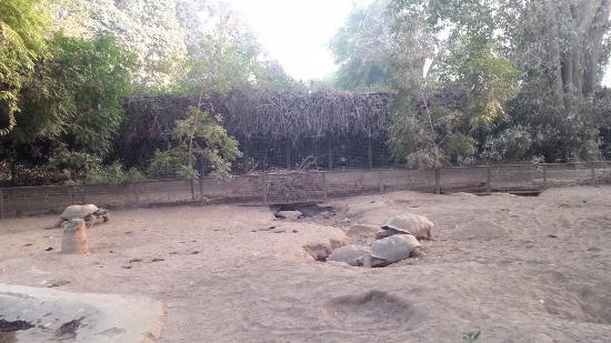 Karachi Zoölogische Tuinen